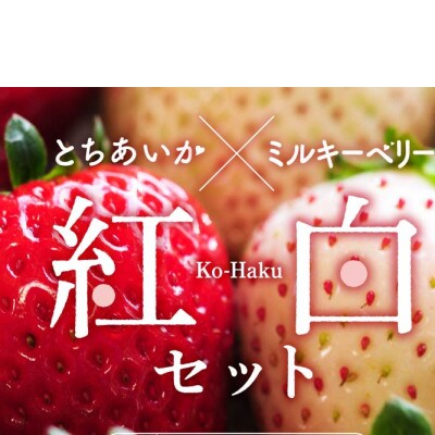 紅白いちご(とちあいか、ミルキーベリー)大粒 詰め合わせ(300g×1パックずつ)