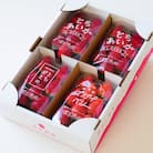 【春イチゴ】「2品種以上組み合わせ!」食べ比べセット(260g×4パック)