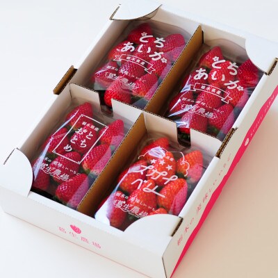 【春イチゴ】「2品種以上組み合わせ!」食べ比べセット(260g×4パック)