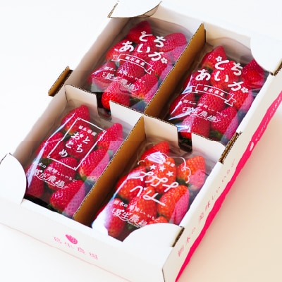 【春イチゴ】「2品種以上組み合わせ!」食べ比べセット(260g×4パック)