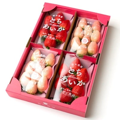 【春いちご】紅白いちご(とちあいか、ミルキーベリー)詰め合わせ(300g×2パックずつ)