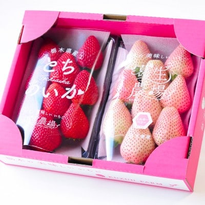 【春いちご】紅白いちご(とちあいか、ミルキーベリー)詰め合わせ(300g×1パックずつ)