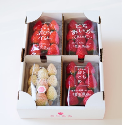 粒一杯!栃木いちご4種詰め合わせセット(260g×4パック)
