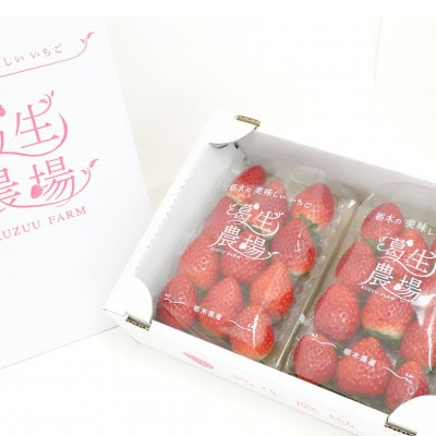 『葛生農場』栃木の新品種『とちあいか』(260g×2パック)