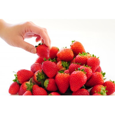 『葛生農場』栃木の新品種『とちあいか』(260g×2パック)