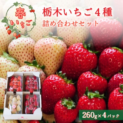 【春イチゴ】栃木いちご4種詰め合わせセット(260g×4パック)