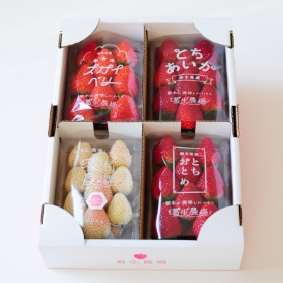 【春イチゴ】栃木いちご4種詰め合わせセット(260g×4パック)