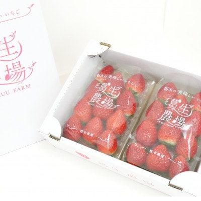 【春イチゴ】『葛生農場』栃木の新品種『とちあいか』(260g×2パック)