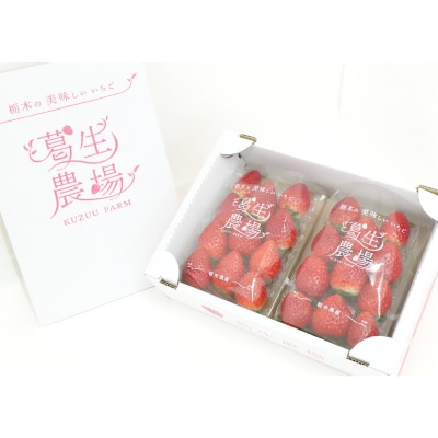 【春いちご】栃木のいちご食べ比べ!「2品種組み合わせ!」セット(260g×2パック)