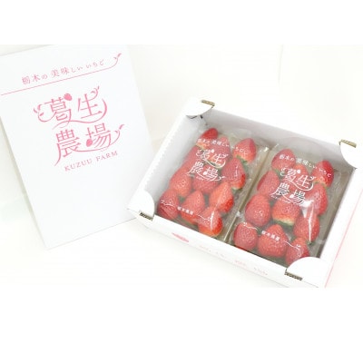 【発送月固定定期便】【2・3・4・7月】栃木のいちご2パックと夏のジェラート定期便!全4回