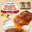 サニーバつかだ つかださん家のはっさくマーマレード(200g×2個セット)
