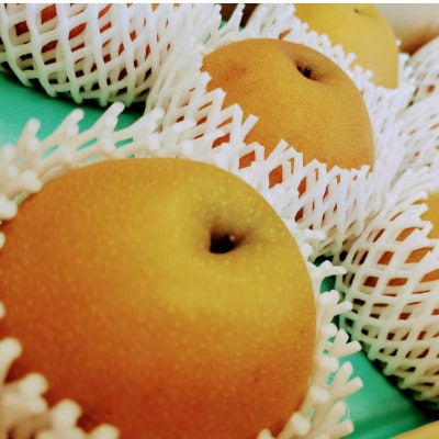 栃木県佐野市産　梨「にっこり」4～5玉入り(1玉 約600g～750g)