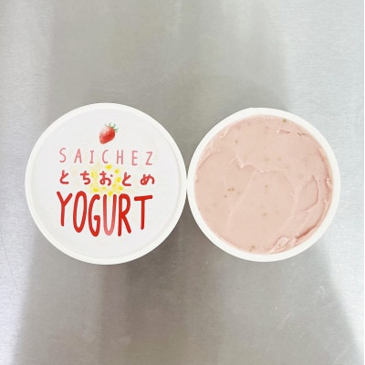 フローズンヨーグルト〈定番3種類・ビターアダルトコーヒー3・とちおとめ2〉アイス　シャーベット