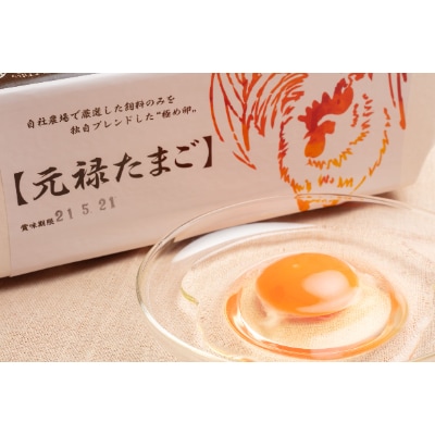 佐野市飛駒町産　大久保養鶏場　元禄卵　60個(10個入り×6パック)