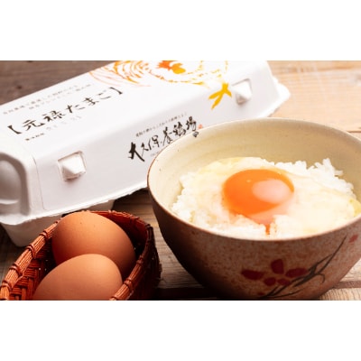 佐野市飛駒町産　大久保養鶏場　元禄卵　60個(10個入り×6パック)
