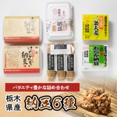 栃木県産納豆6種詰め合わせセット