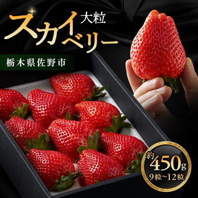 栃木県 いちご 新品種【スカイベリー】9粒～12粒 約450g