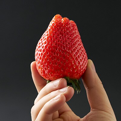 栃木県 いちご 新品種【スカイベリー】9粒～12粒 約450g