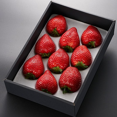 栃木県 いちご 新品種【とちあいか】 9粒～12粒 約450g