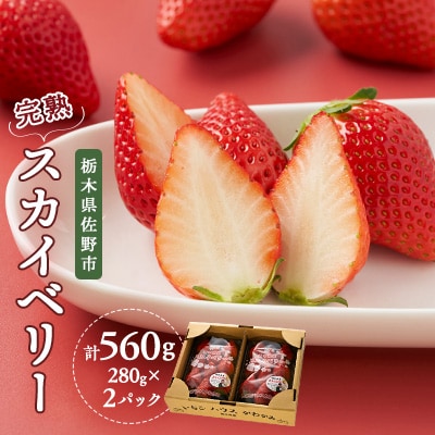栃木県佐野産完熟いちごスカイベリー