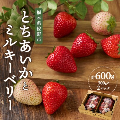 栃木の白いちご ミルキーベリー とちあいか MIX　300g×2パック