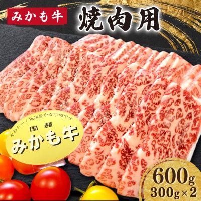 「みかも牛」焼肉用600g(300gx2)