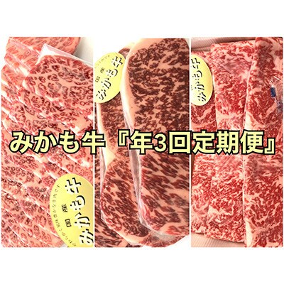 【発送月固定定期便】〈2025年2月発送開始〉みかも牛【4ヶ月ごと配送】全3回