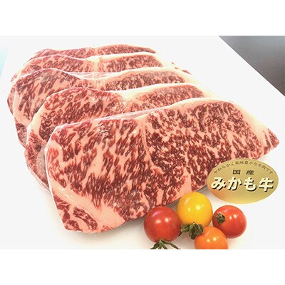 【発送月固定定期便】〈2025年2月発送開始〉みかも牛【4ヶ月ごと配送】全3回