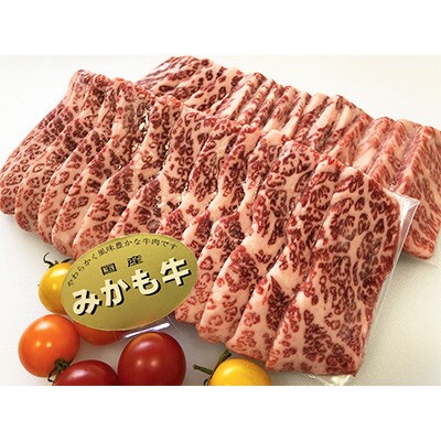 【発送月固定定期便】〈2025年2月発送開始〉みかも牛【4ヶ月ごと配送】全3回