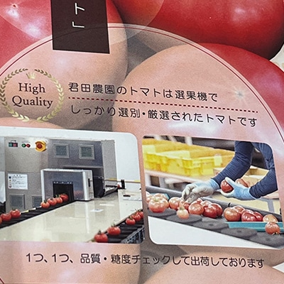 佐野市 元気になるトマト【フルーツトマト】