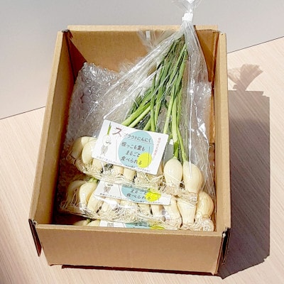 スプラウトにんにく　90g×3袋