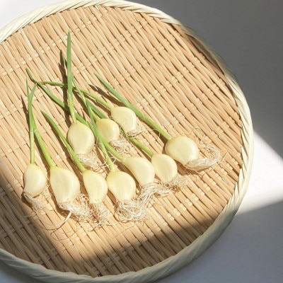 スプラウトにんにく　90g×3袋