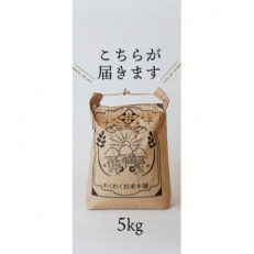 農家直送!ホタルのいる里山で作ったコシヒカリ5kg