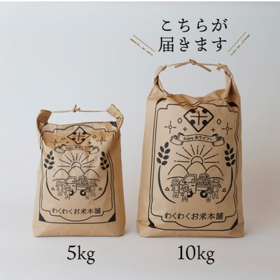 農家直送!ホタルのいる里山で作ったコシヒカリ10kg(精米)