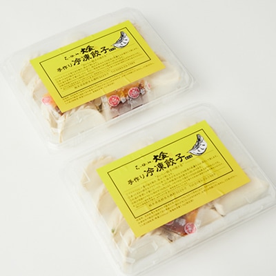 佐野ブランド認証品 らーめん大金の国産野菜がギュッと詰まった大ぶりの手作り冷凍餃子　12粒×2パック