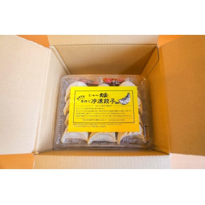 佐野ブランド認証品 らーめん大金の国産野菜がギュッと詰まった大ぶりの手作り冷凍餃子　12粒×2パック