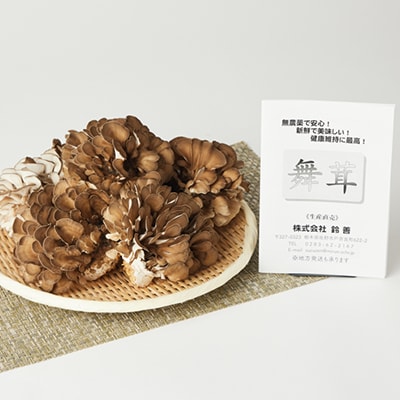舞茸　12株