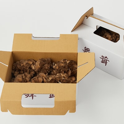 舞茸　12株