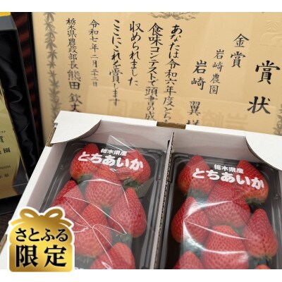 【さとふる限定】栃木県佐野市産いちご「とちあいか」 600g(300g‪×2パック)