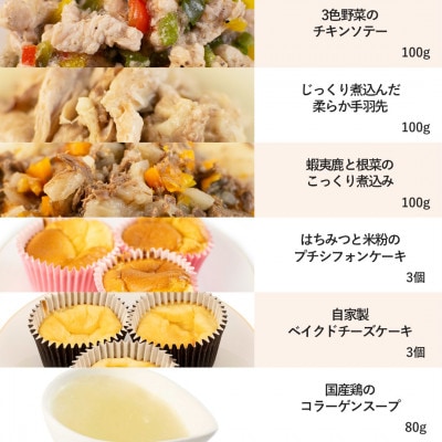 【プレミアム・ドッグミールセットB】犬用ごはん 無添加 手作り Idea dog chef