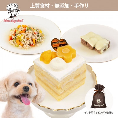 【マンゴーのショートケーキセット】犬のケーキ・ごはん 無添加 手作り Idea dog chef