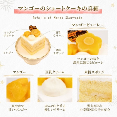 【マンゴーのショートケーキセット】犬のケーキ・ごはん 無添加 手作り Idea dog chef