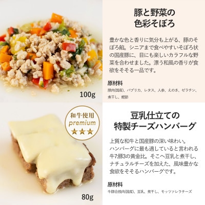 【マンゴーのショートケーキセット】犬のケーキ・ごはん 無添加 手作り Idea dog chef