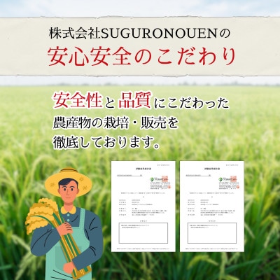 令和7年産　特別栽培米コシヒカリ　10kg(5kg×2袋)