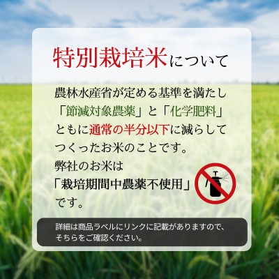 令和7年産　特別栽培米にじのきらめき 精米　10kg(5kg×2袋)