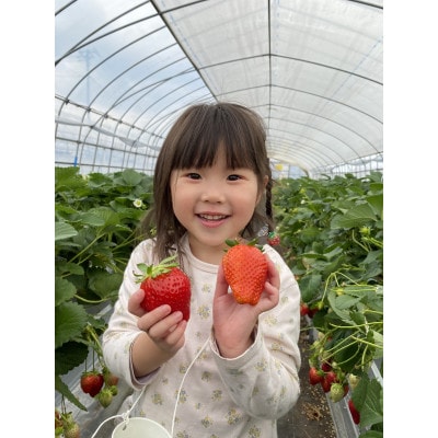 佐野観光農園アグリタウン「いちご狩り」招待券