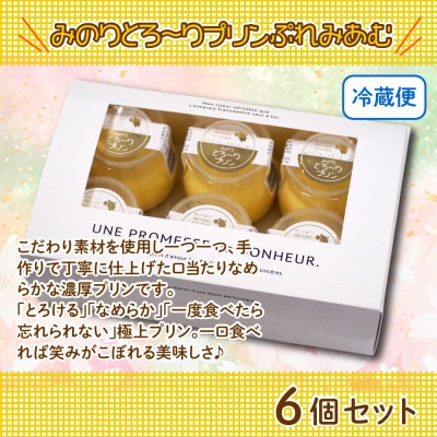 一度食べたら忘れられない美味しさ!みのりとろ～りプリン ぷれみあむ 6個セット