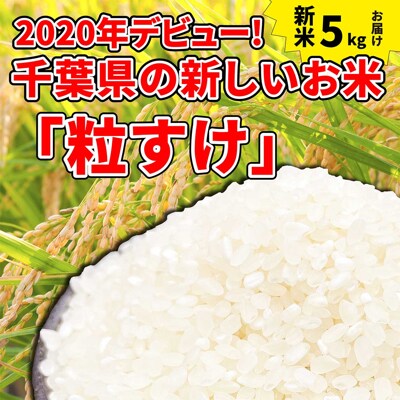 東金市産のお米「粒すけ」5kg