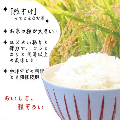 東金市産のお米「粒すけ」5kg