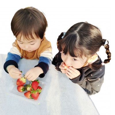 道の駅 みのりの郷東金 いちご狩り 30分間食べ放題 1名様